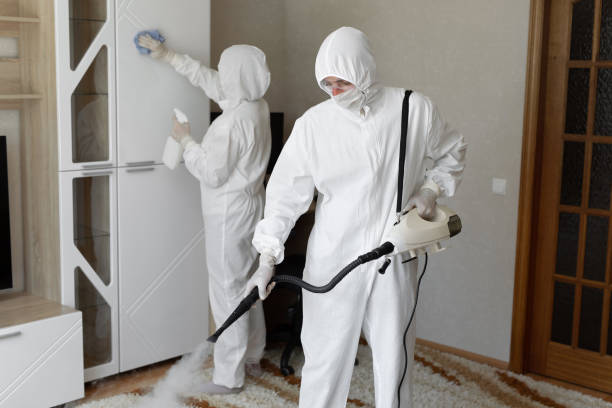 Best Attic Mold Removal  in Cut Bank, MT
